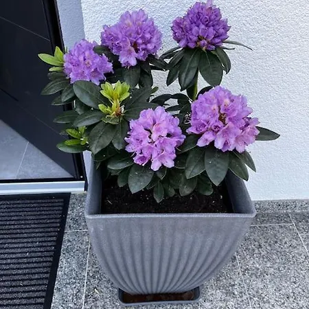 Klimatisierte Schoene 110 Qm Grosse Moderne Und Helle * Heilbronn