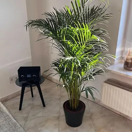 Klimatisierte Schoene 110 Qm Grosse Moderne Und Helle Appartement Heilbronn