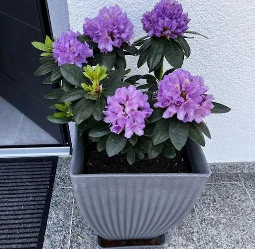 Klimatisierte Schoene 110 Qm Grosse Moderne Und Helle * Heilbronn