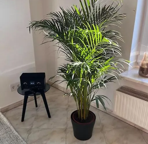 Klimatisierte Schoene 110 Qm Grosse Moderne Und Helle Appartamento Heilbronn